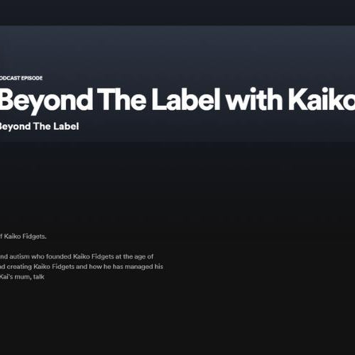 Beyond The Label Podcast With Kaiko Fidgets