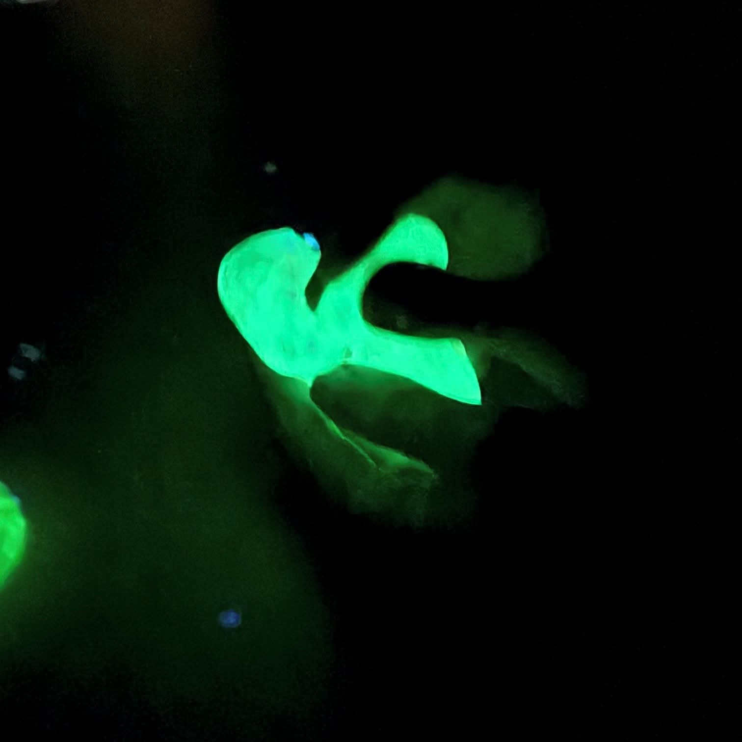 PURE Glow Put 'Em Putty