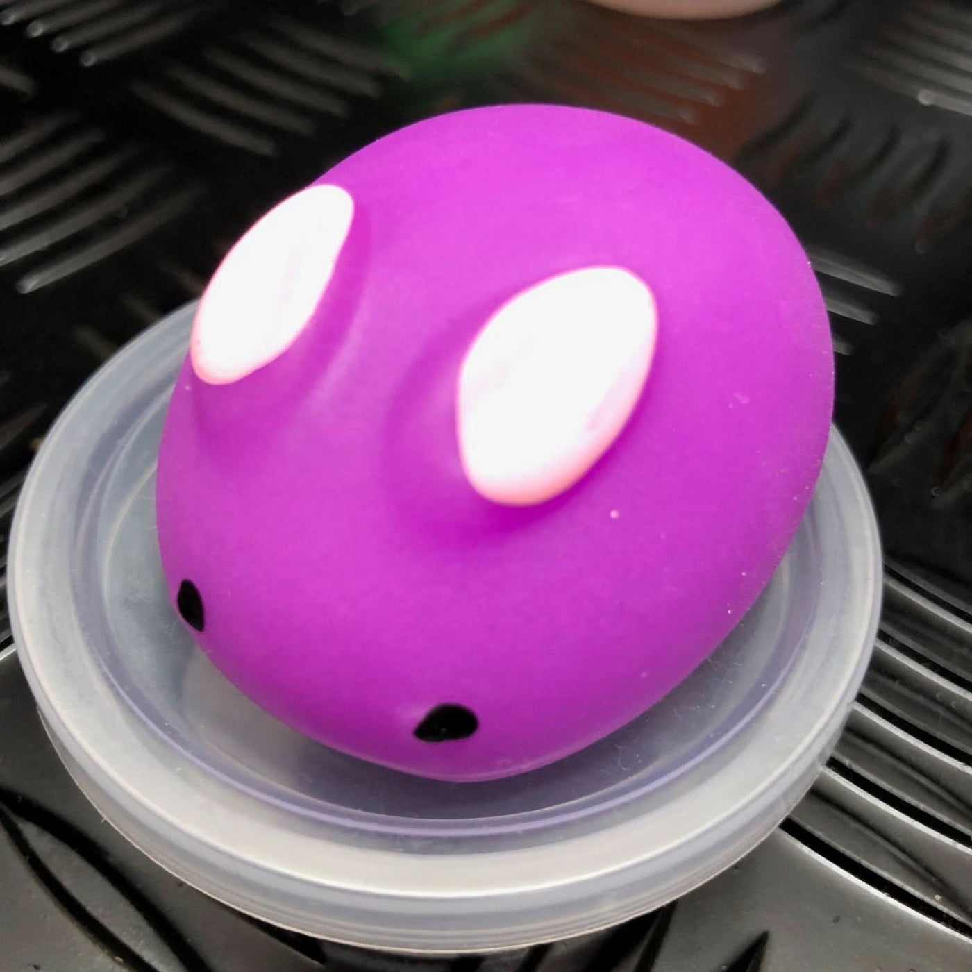 Jelly Mochi Squishy Animals — Kaiko Fidgets Australia Pty Ltd