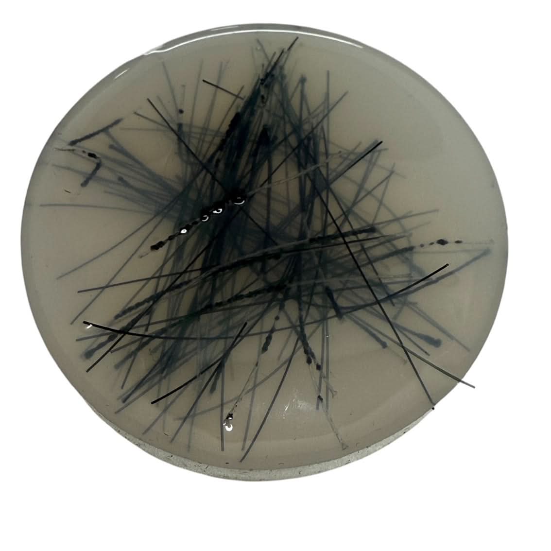 Pick 'Em Starter Set - Kaiko Picking, Popping & Hair Pulling Support