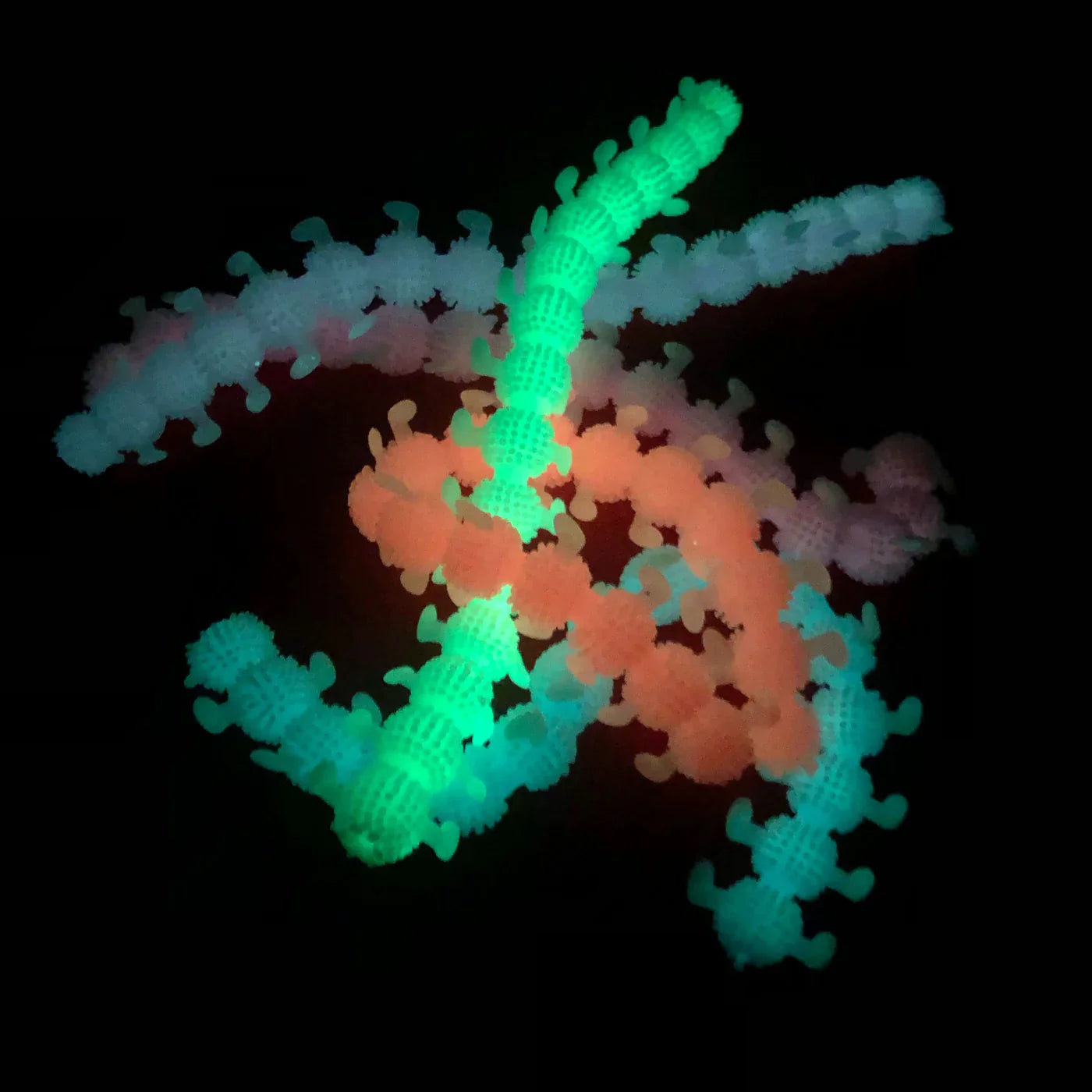 BULK Box of 30 Glow in Dark Stretchy Caterpillars - BULK BUNDLE