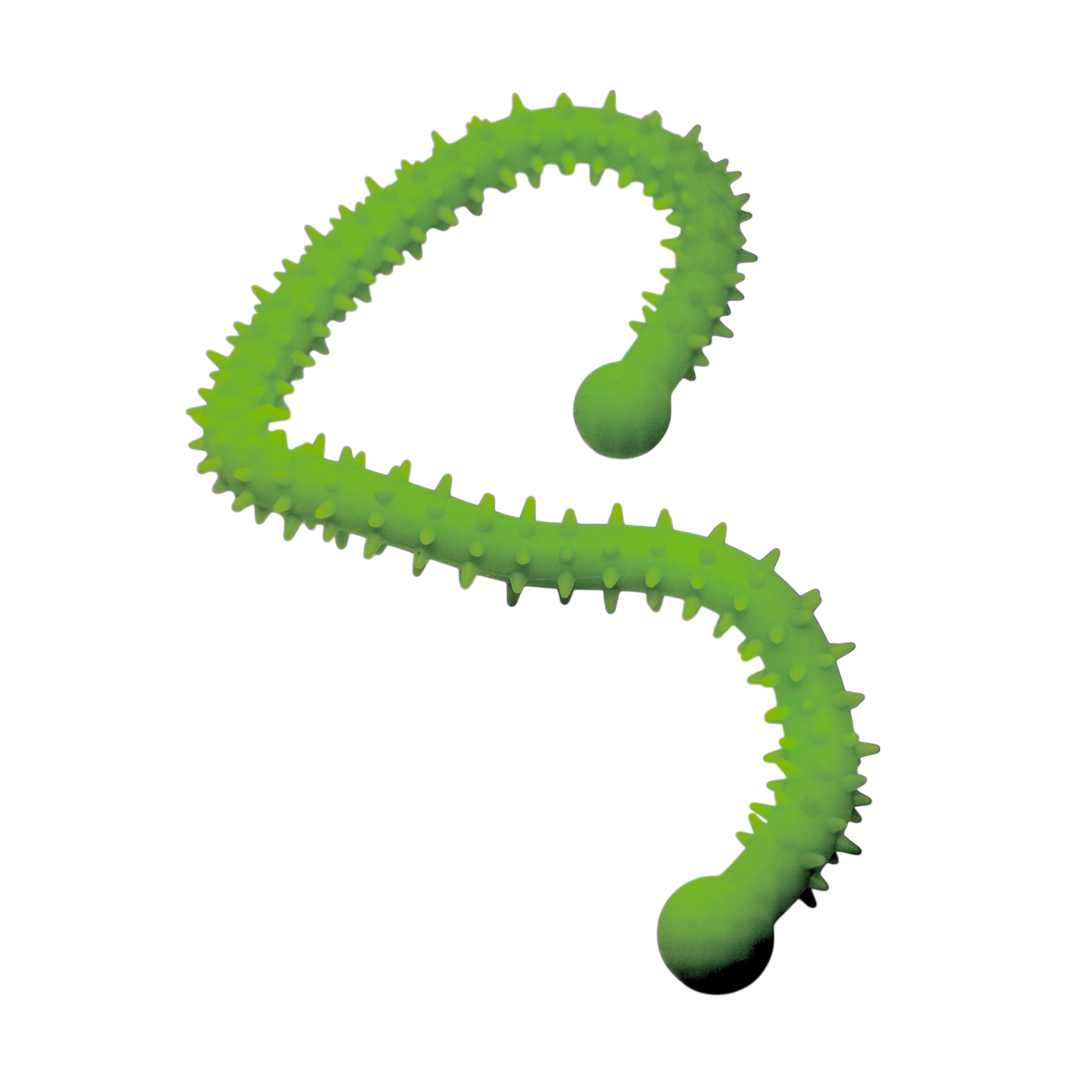 Essential School Bundle - Primary School Edition