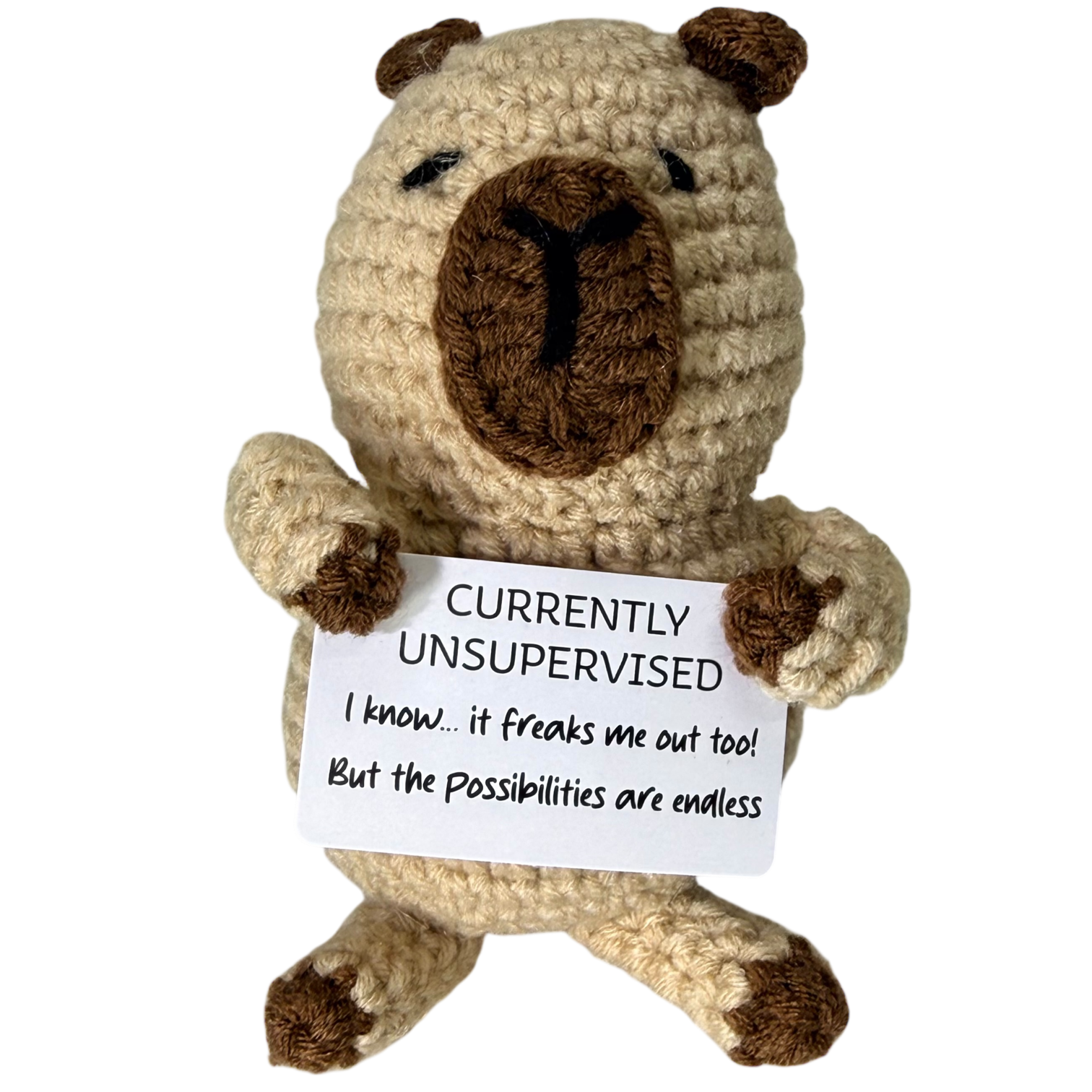 Currently Unsupervised! Capybara Mini Hand Crochet Plush Support