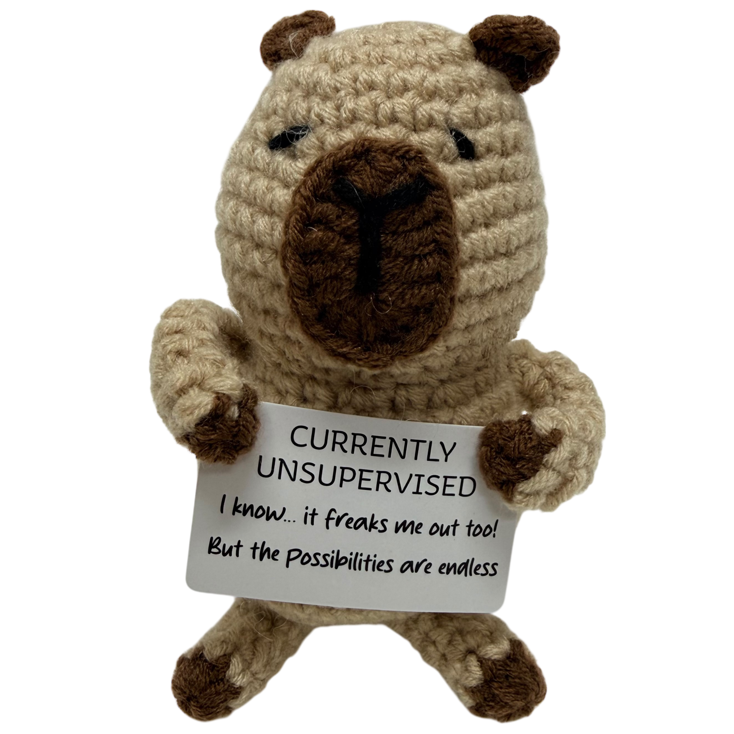 Currently Unsupervised! Capybara Mini Hand Crochet Plush Support