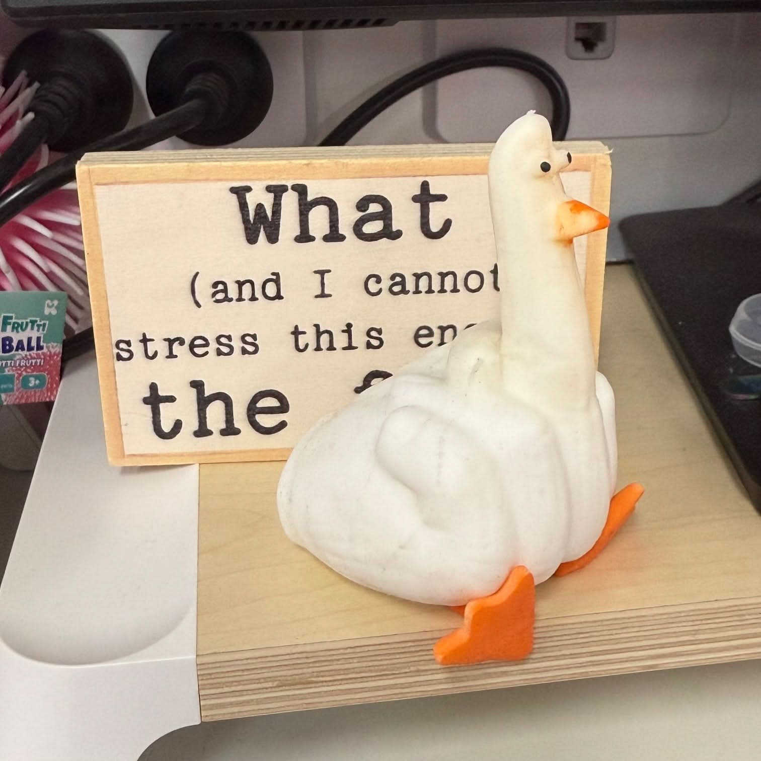 Duck You! Hilarious Squishy