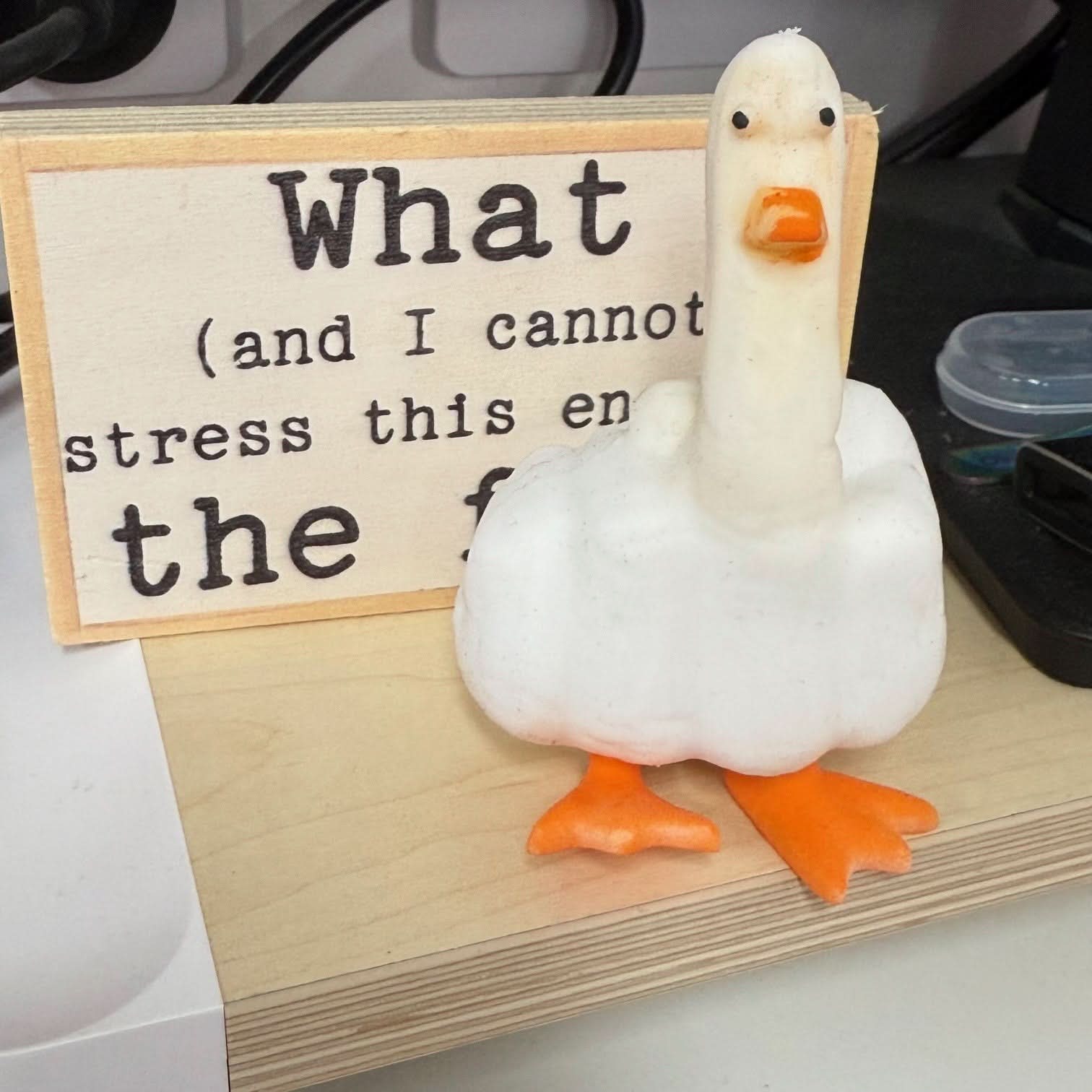 Duck You! Hilarious Squishy