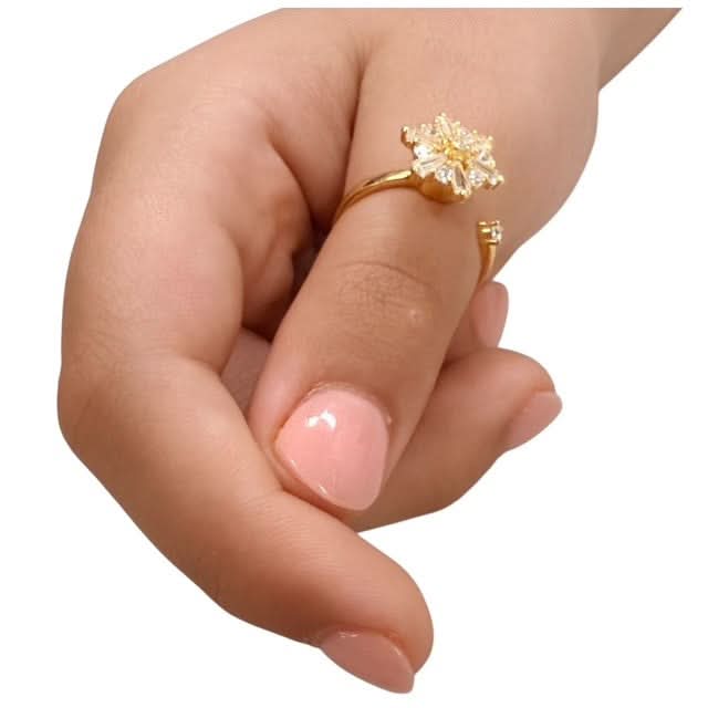 Auri Fidget Ring