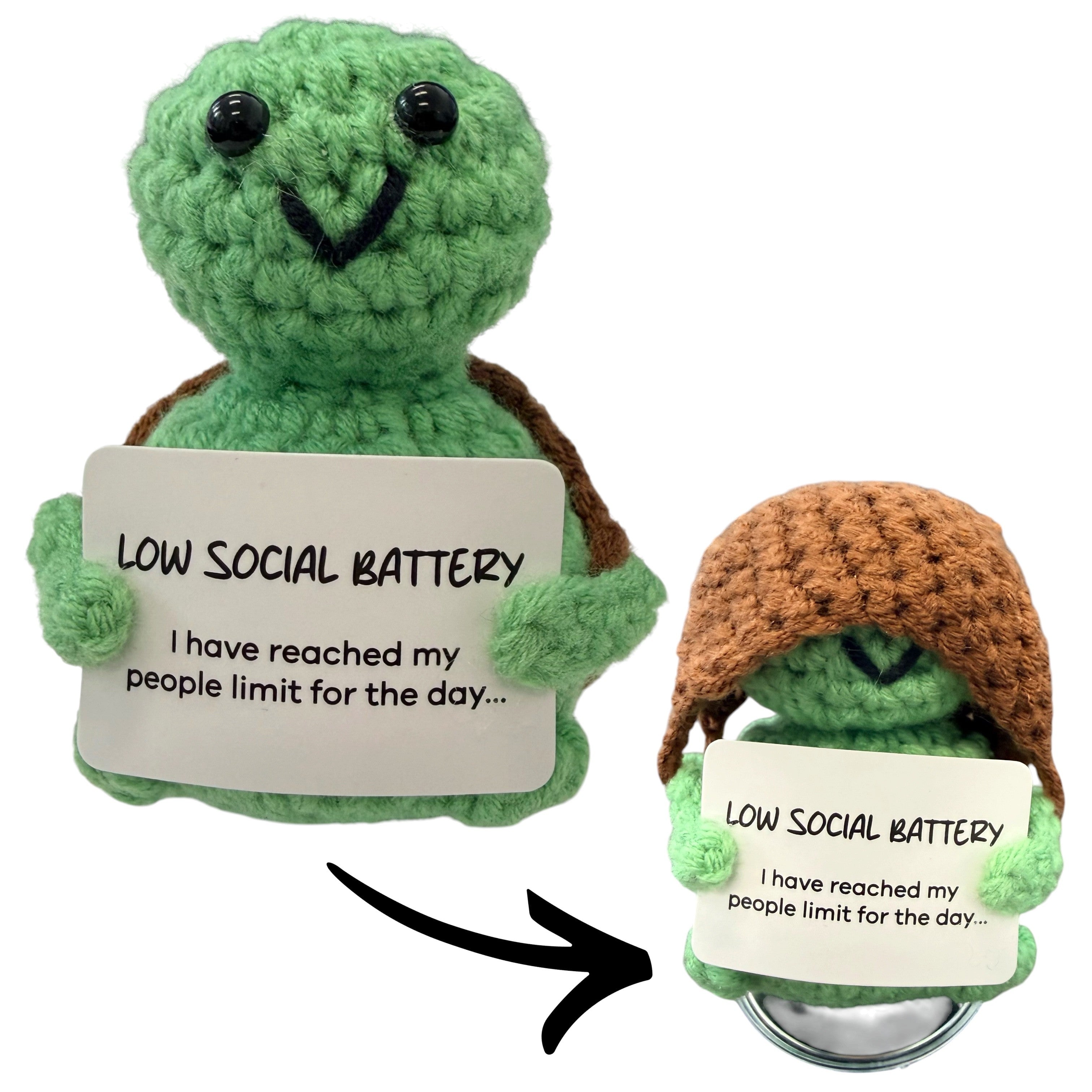 Low Social Battery Turtle