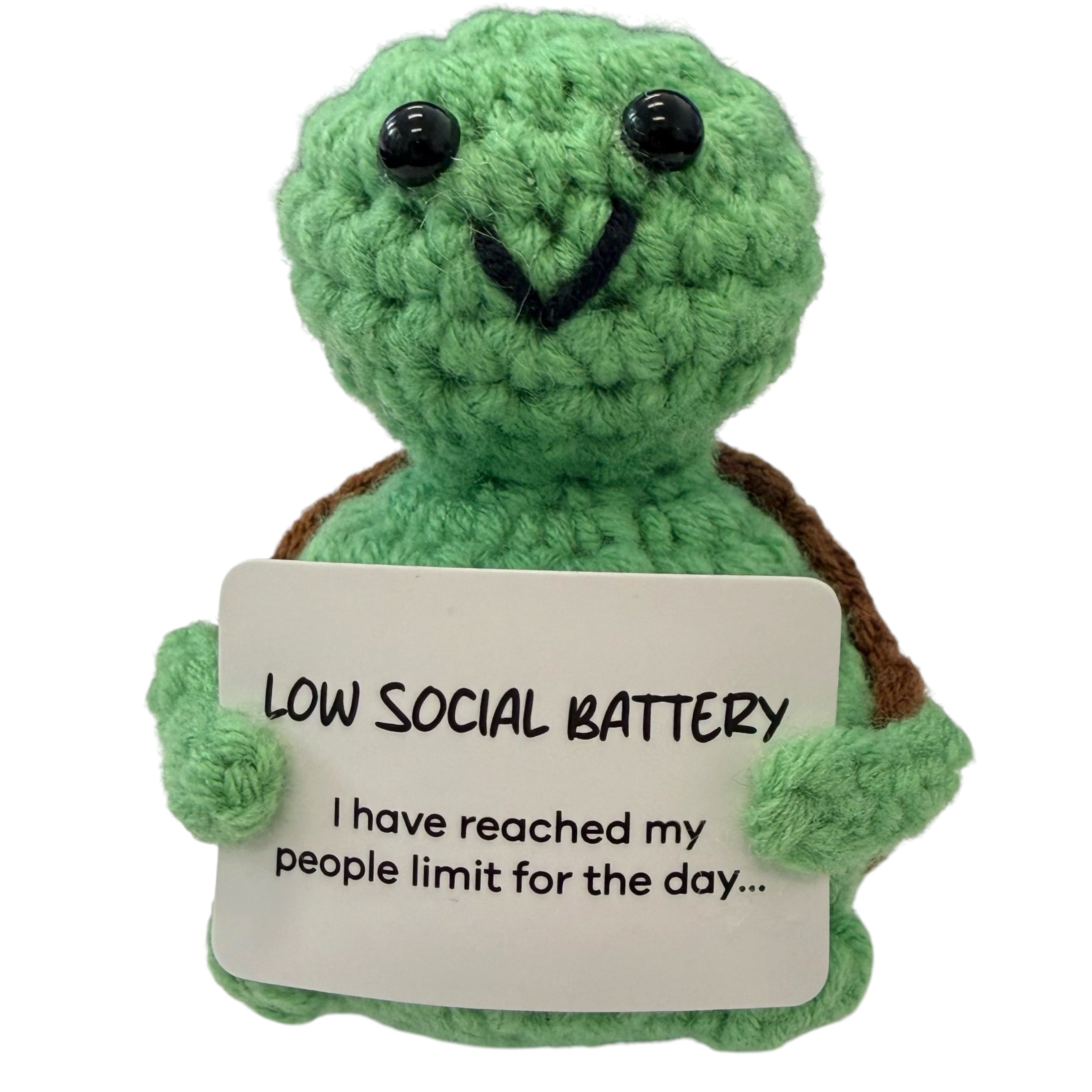 Low Social Battery Turtle