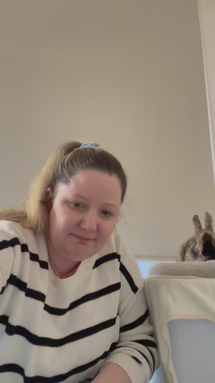 Load video: Anytime Advent Calendar- 24 Window Pick ‘Em Discovery Kit