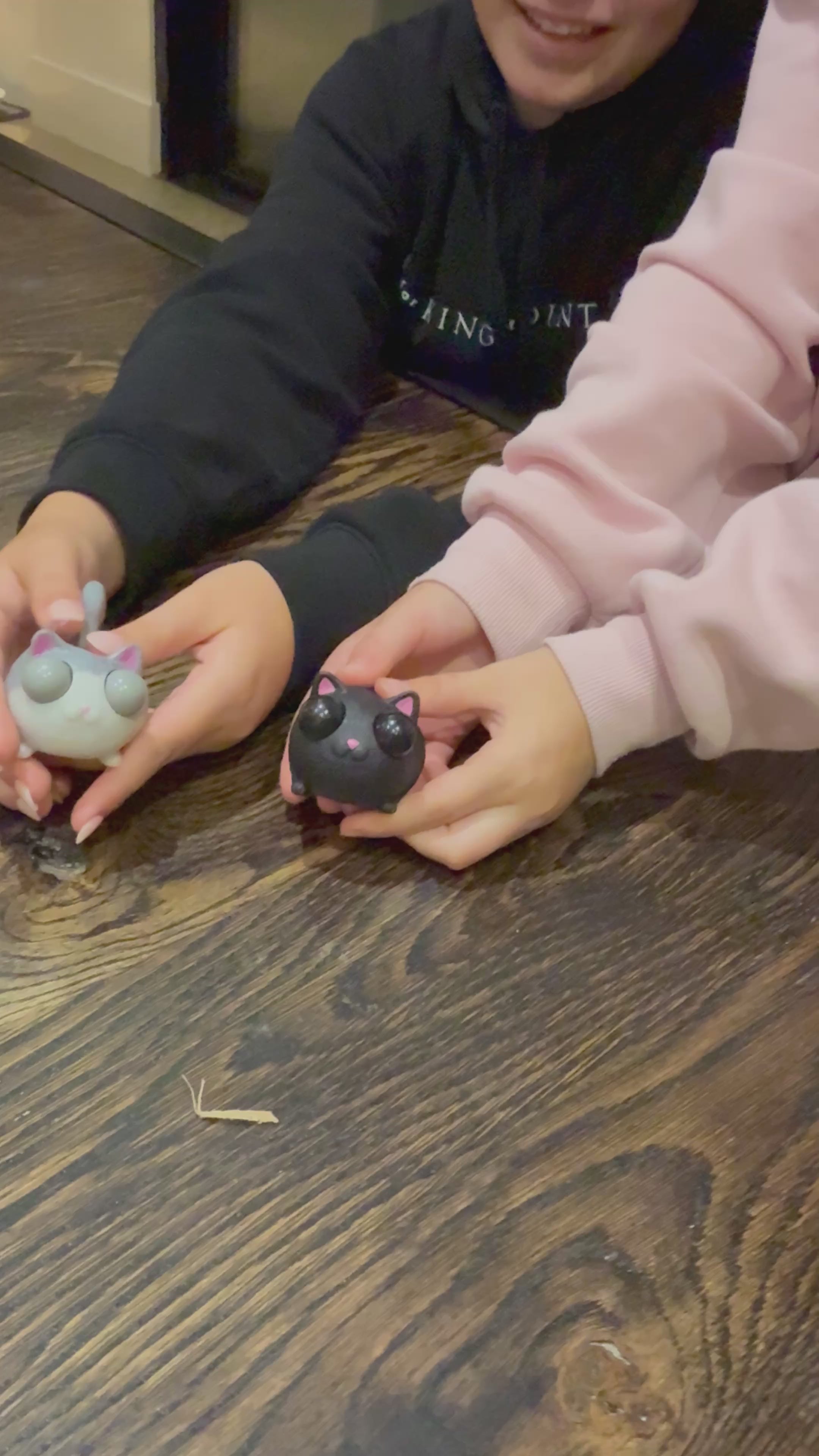 Load video: Jack the Cat Eye Popping Fidget