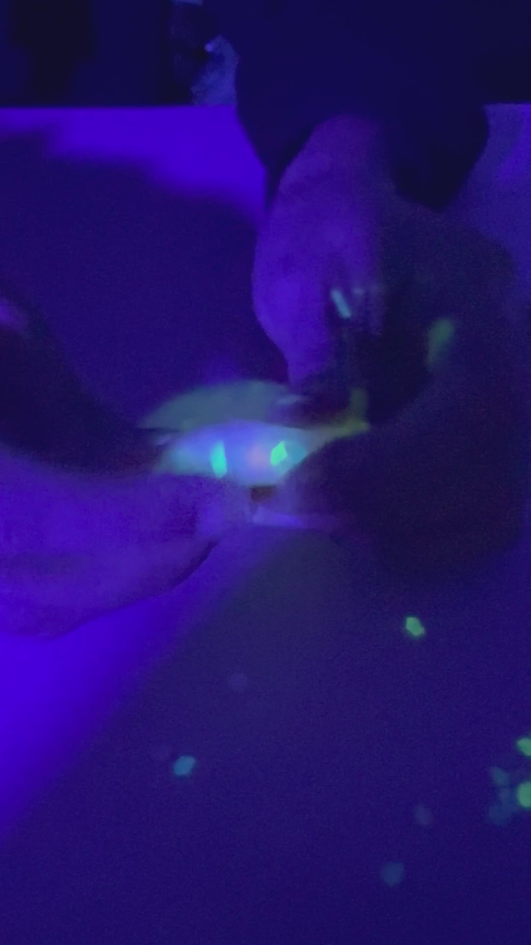 Load video: Glow Sensory Reset Kit -Kaiko x Jellystone - COMING SOON