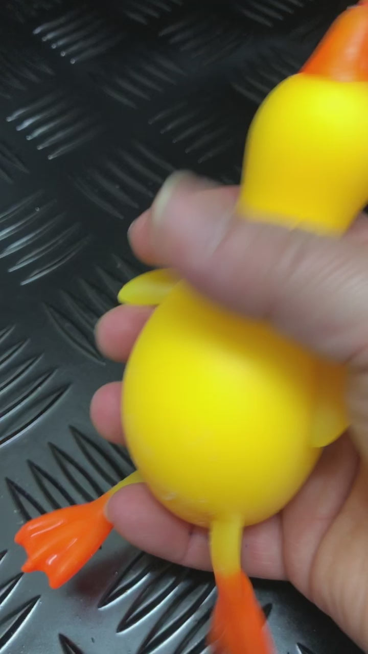 Load video: Flappy the Squishy Duck