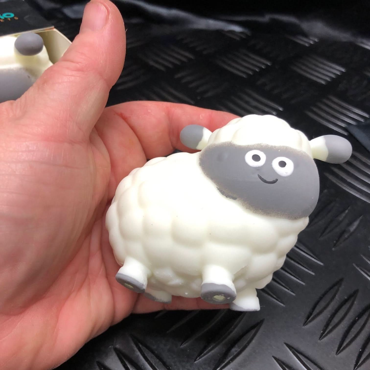 Box of 12 Baa Baa the Squishy Sheep