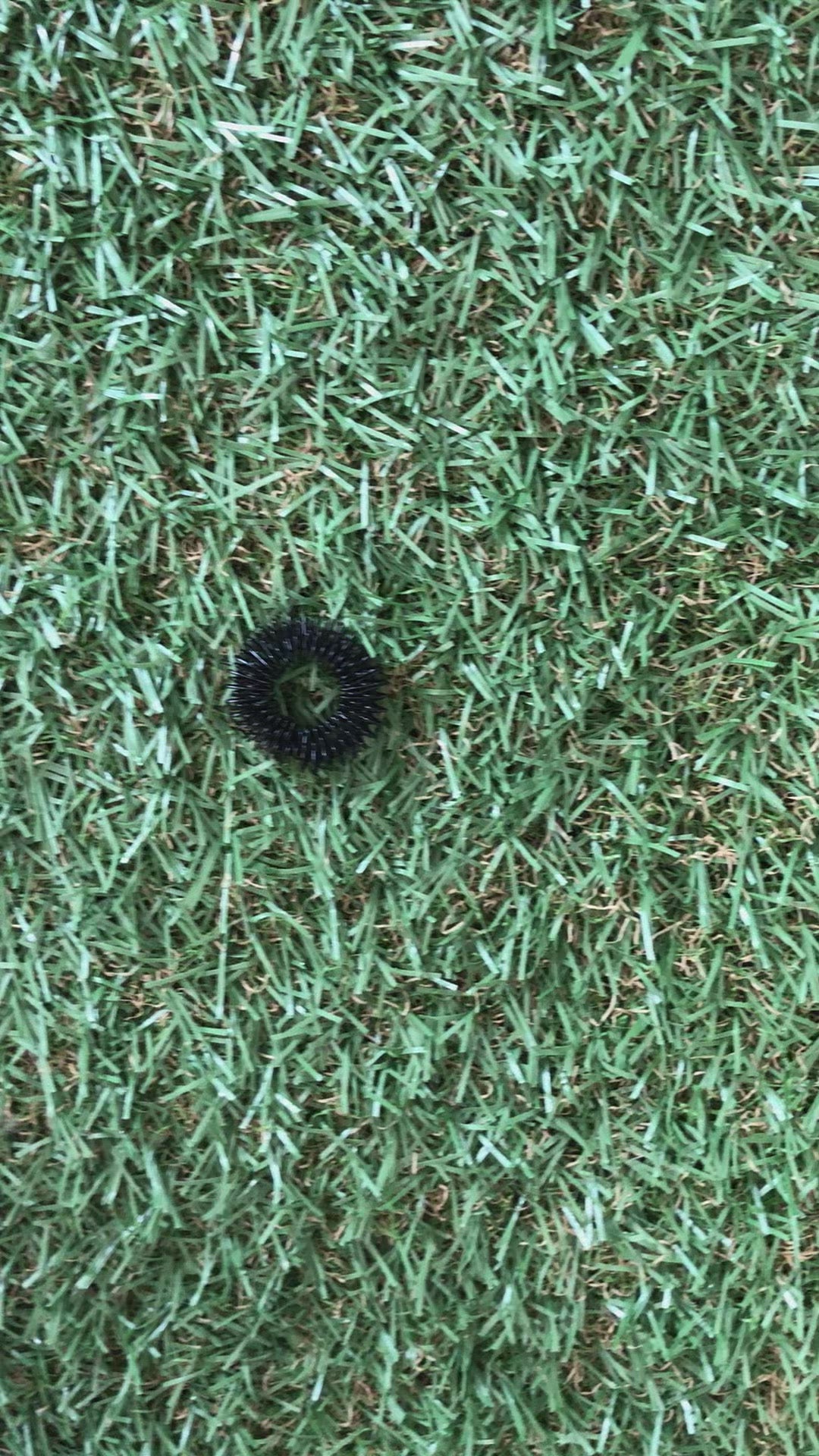 Load video: Standard Finger Spikey