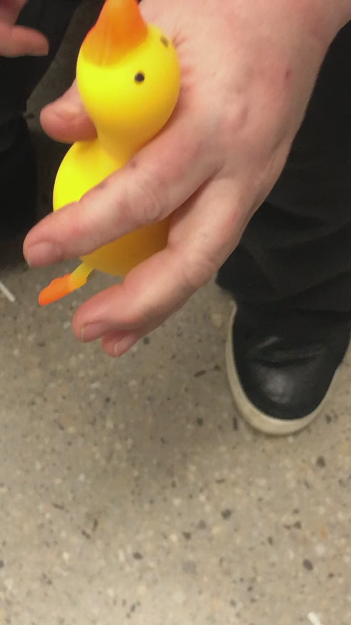 Load video: Flappy the Squishy Duck