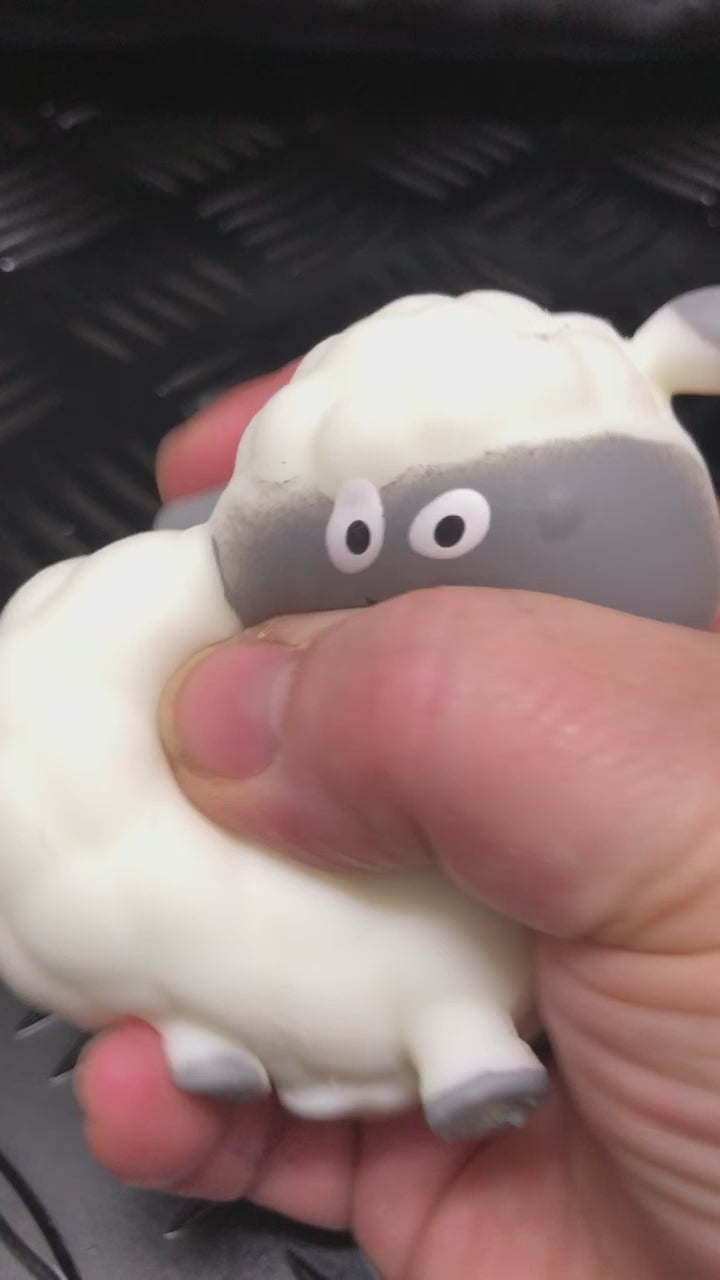 Load video: Box of 12 Baa Baa the Squishy Sheep