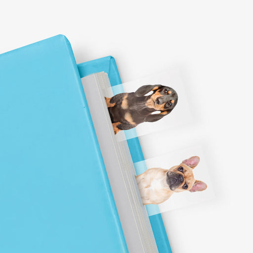 Dog In A Book Page Markers (100 sheets) - Kaiko Fidgets
