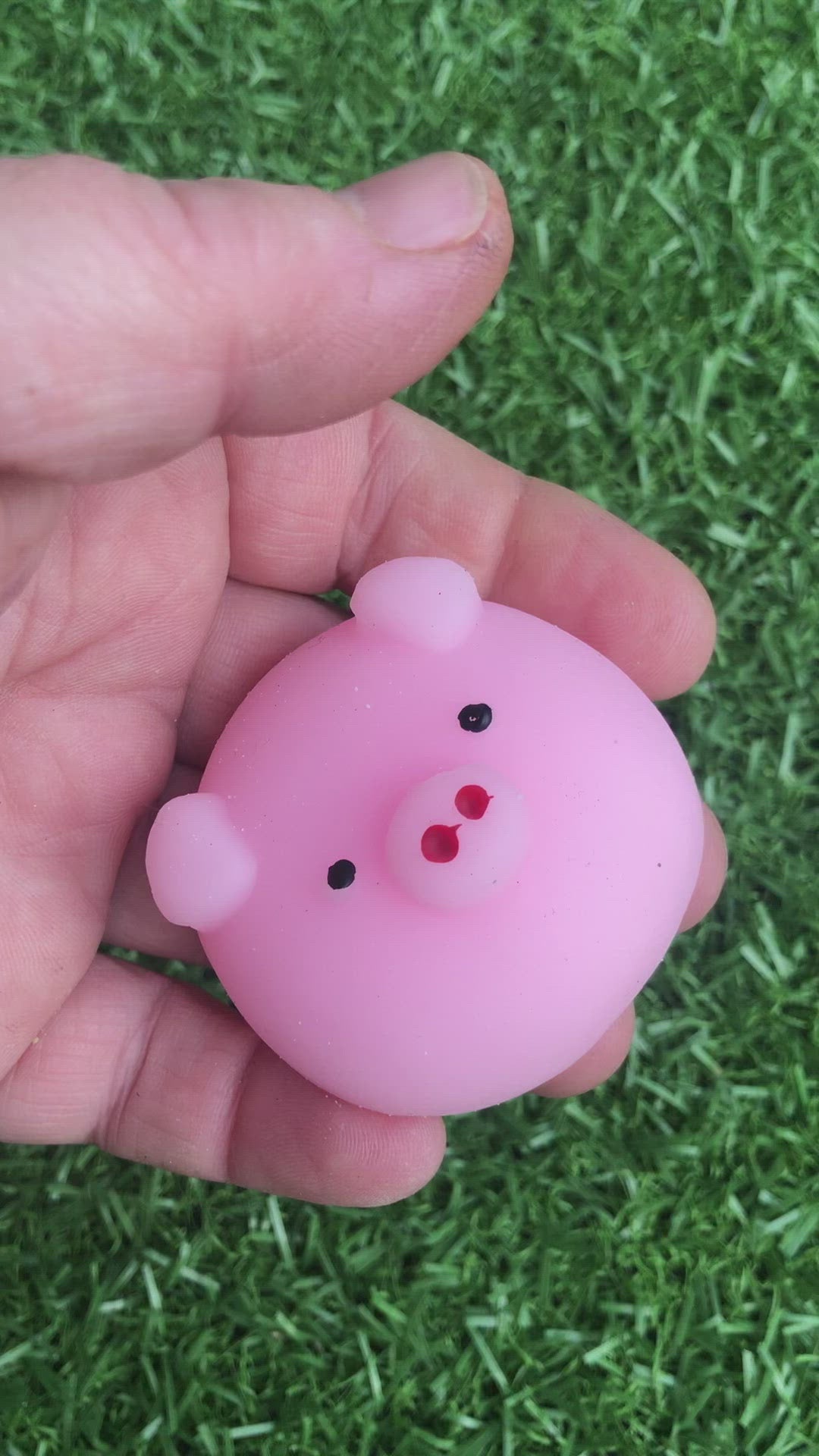 Load video: Jelly Mochi Squishy Animals